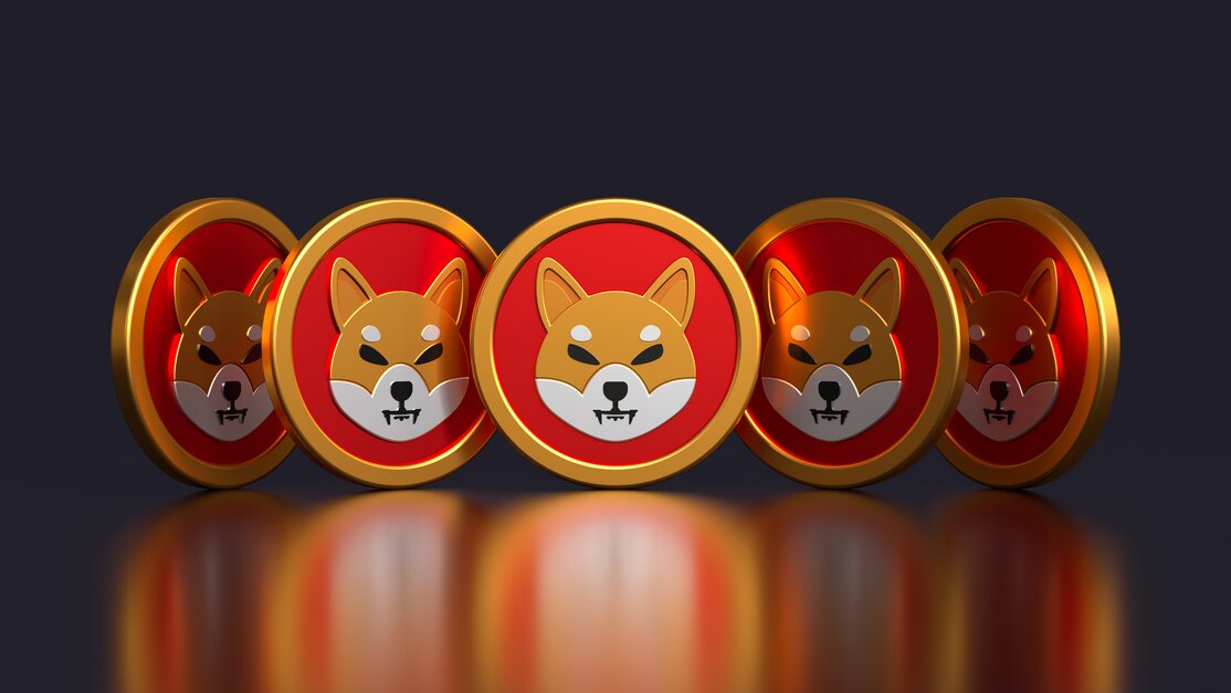 Coin Swap Bank Prepares Application for Shiba Inu ETF Approval